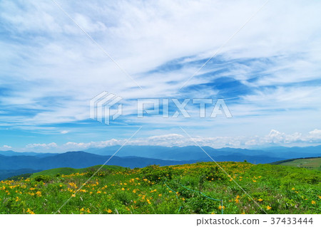 Nikkokishgege Kuroyama Plateau Nikkokishgege Kuroyama Plateau 37433444