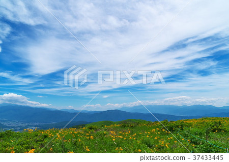 Nikkokishgege Kuroyama Plateau Nikkokishgege Kuroyama Plateau 37433445