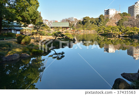 Kiyosumi garden: Oizumi water Kiyosumi garden: Oizumi water 37435563