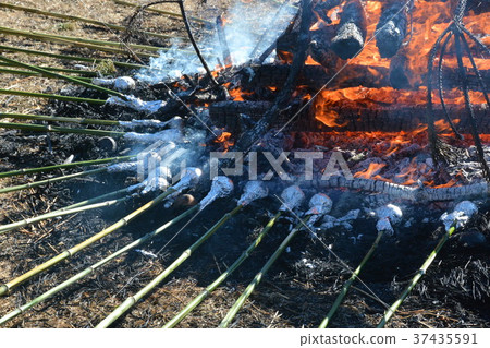 Grilling donkey Grilling donkey 37435591