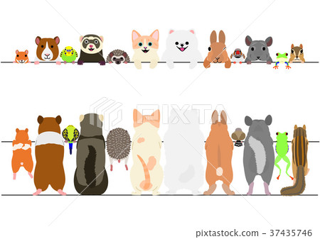 Set of cute pet banners, face and back 37435746