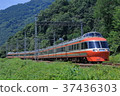 Odakyu Romance Car LSE 7000 which goes through green satoyama 37436303