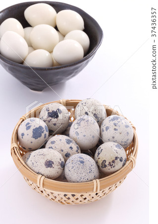 鵪鶉蛋 37436357