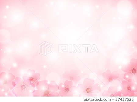 櫻花背景 37437523