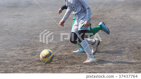 足球足球 37437764