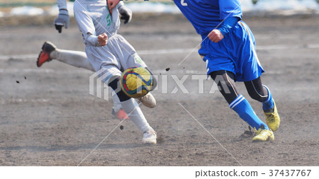 足球足球 足球足球 37437767