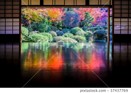 Autumn leaves of Kyoto Anhead Temple 37437769