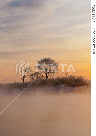 Winter morning 37437802