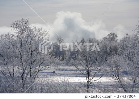 Winter landscape 37437804