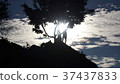 Silhouette with sun 37437833