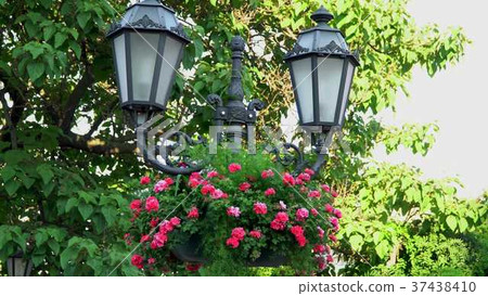 Street lamp decorated with flowers 37438410