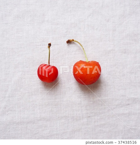 fruits fruits 37438516