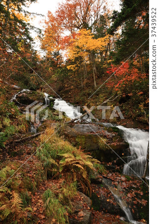 Platinum immovable waterfall Platinum immovable waterfall 37439522