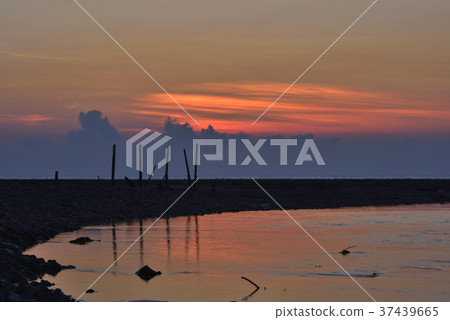 臺灣,許厝港濕地,桃園市,大園區,許厝港,日落,夕陽,黃昏,海灘,海岸,海邊 37439665