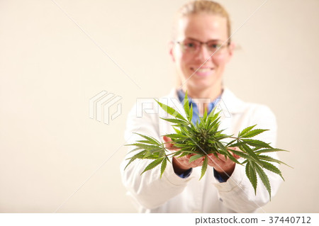 doctor holding a cannabis leaf  37440712