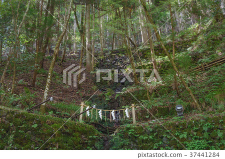 Kifune Shinto shrine grounds scenery 37441284