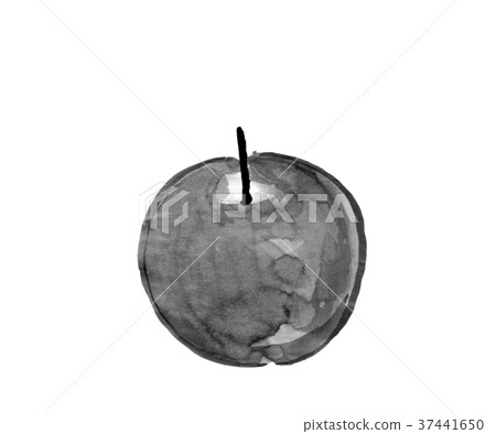 Apple ink painting - Stock Illustration [37441650] - PIXTA
