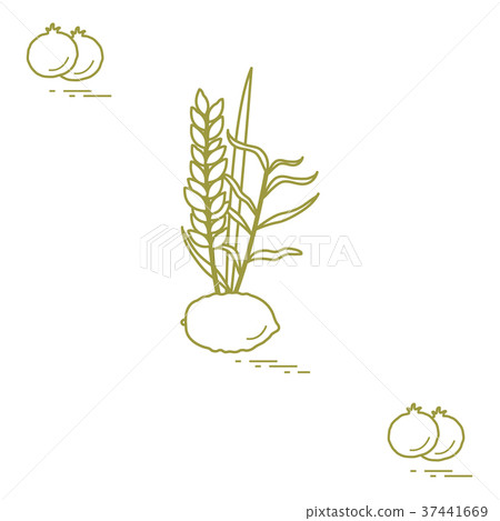 Pomegranate and Lulav - symbolic attribute of the 37441669