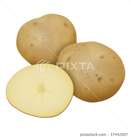 Potato 37442007