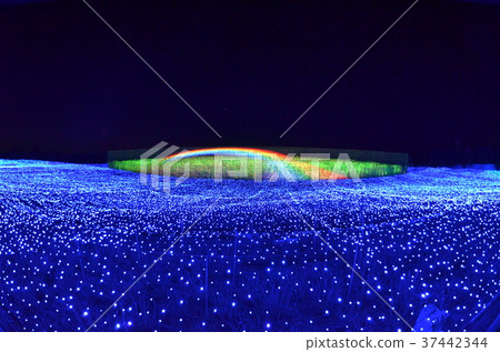 illumination 37442344