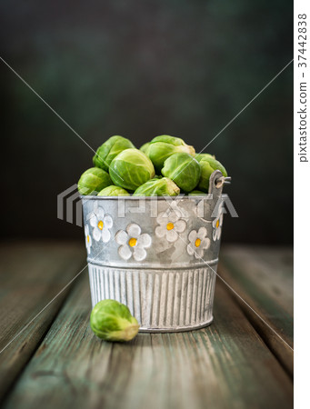 Fresh Brussels sprouts in metal bucket Fresh Brussels sprouts in metal bucket 37442838