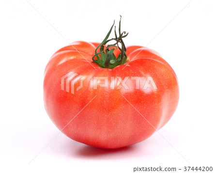 First tomato (from Aichi prefecture) 37444200