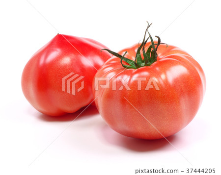 第一番茄(來自愛知縣) 第一番茄(來自愛知縣) 37444205