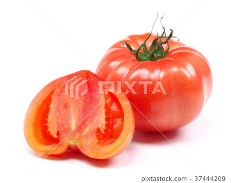 第一番茄（來自愛知縣） 37444209