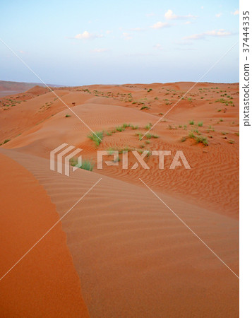 Orange sand of the Wahiba desert, Oman Orange sand of the Wahiba desert, Oman 37444335