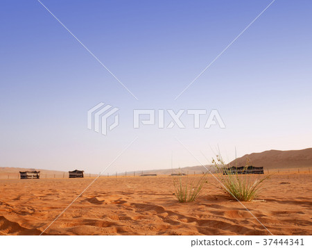 Desert camp at the Wahiba desert, Oman Desert camp at the Wahiba desert, Oman 37444341