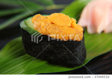 壽司海膽 37444510