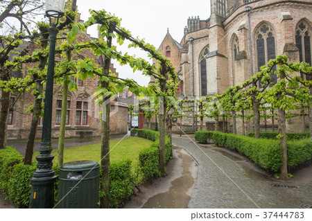 Bruges Brugge cityscape, Flanders, Belgium. 37444783