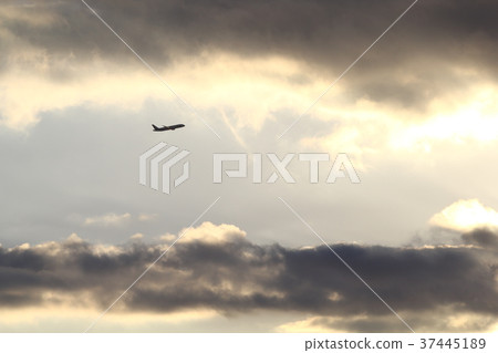 To the destination 37445189