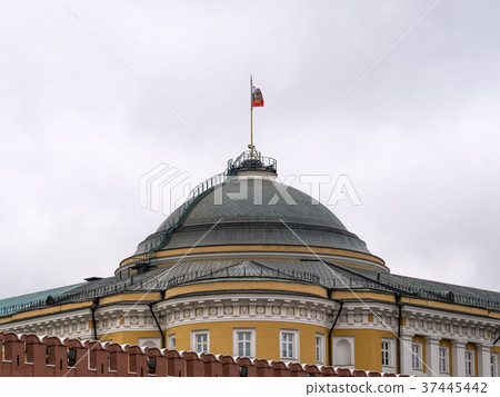 Kremlin Moscow Dome of Senate building Russian  Kremlin Moscow Dome of Senate building Russian  37445442