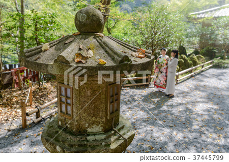 Scenery of Kifune Shrine grounds 37445799