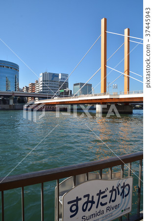 Downtown walk: Shin Ohashi bridge over the Sumida River Downtown walk: Shin Ohashi bridge over the Sumida River 37445943