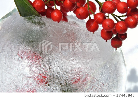 South Heaven's Fruit and Ice 37445945