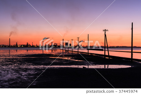 Egawa海岸晚上風景 Egawa海岸晚上風景 37445974