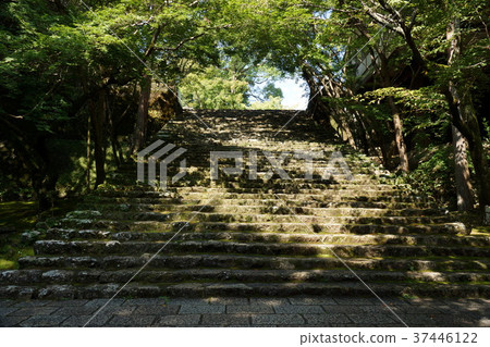 Takerinji接近高知縣 37446122