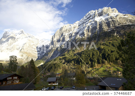 Swiss Swiss 37446687