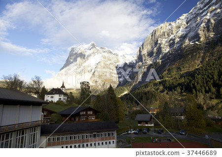 Swiss Swiss 37446689
