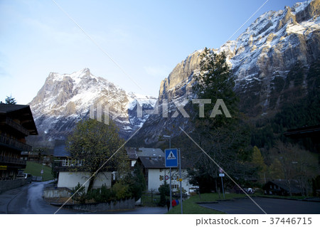 Swiss Swiss 37446715