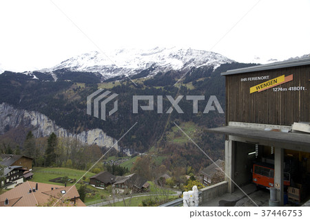 Swiss Swiss 37446753