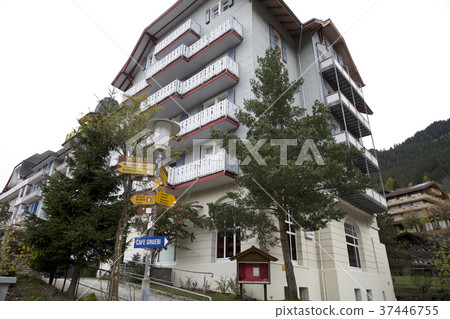 Swiss Swiss 37446755