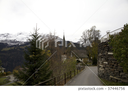 Swiss Swiss 37446756