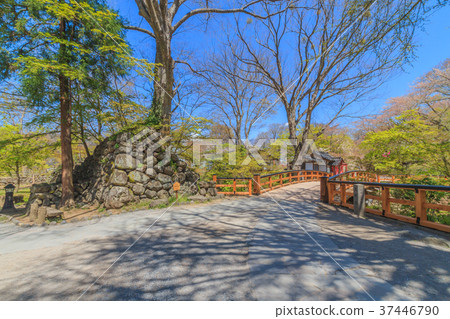 春天懷舊風景 春天懷舊風景 37446790