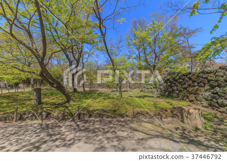 Spring nostalgic landscape 37446792