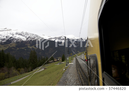 Swiss Swiss 37446820