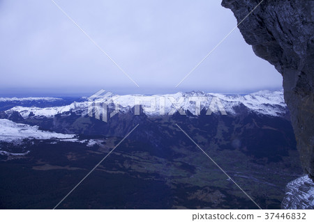 Swiss Swiss 37446832