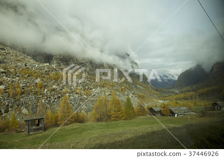 Swiss Swiss 37446926